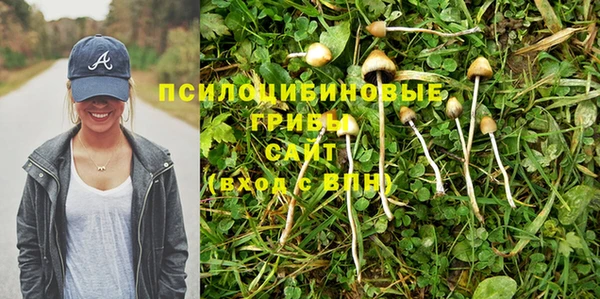 гидропоника Алексеевка